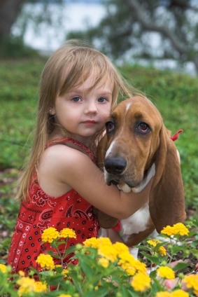 Kind en Basset Hound