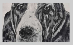 Basset schilderij te koop