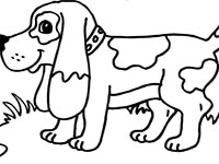 Basset Hound kleurplaat