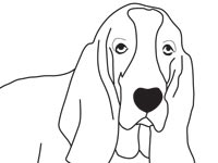 Basset Hound kleurplaat