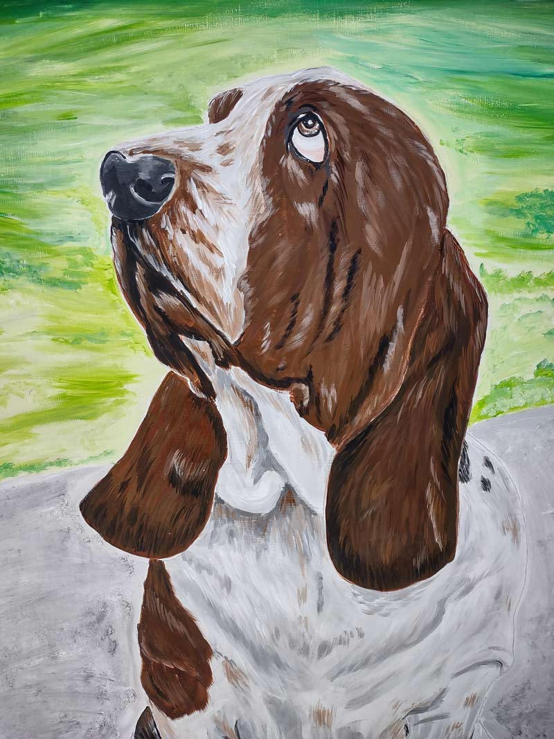 basset schilderij in kleur